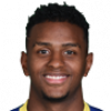 https://img.fangyandp.com/img/football/player/8f34f88aa4554ac834f0eada57c52f01.png